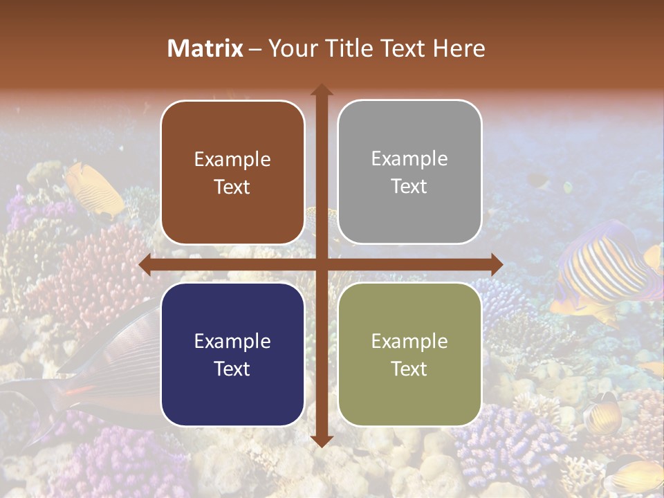 Polynesia Maldives Coral PowerPoint Template