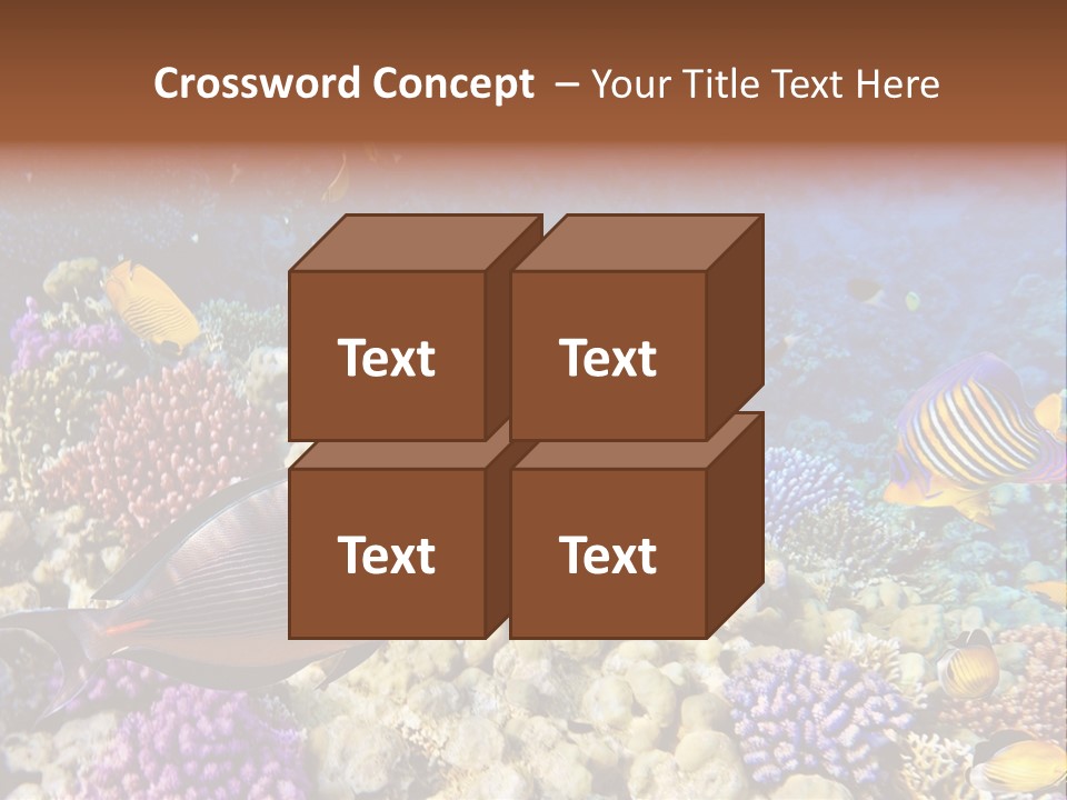 Polynesia Maldives Coral PowerPoint Template