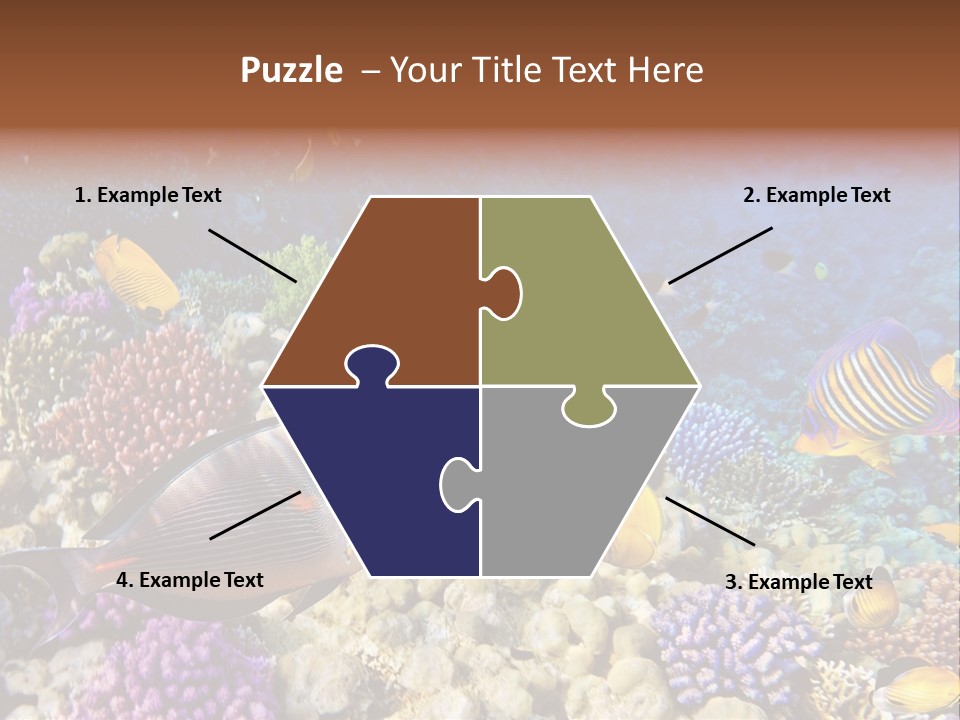 Polynesia Maldives Coral PowerPoint Template