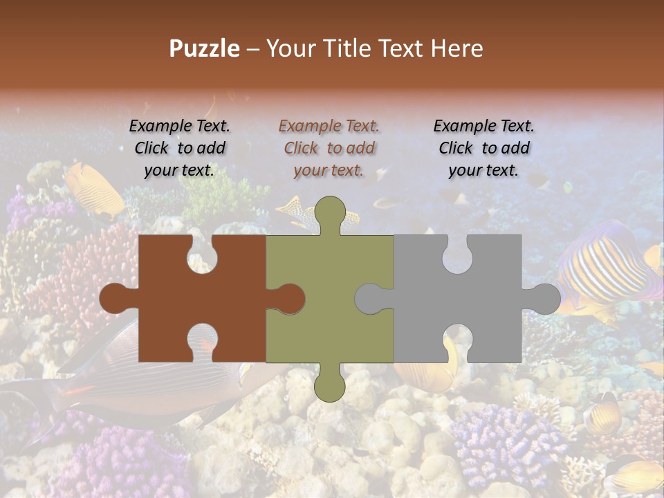 Polynesia Maldives Coral PowerPoint Template