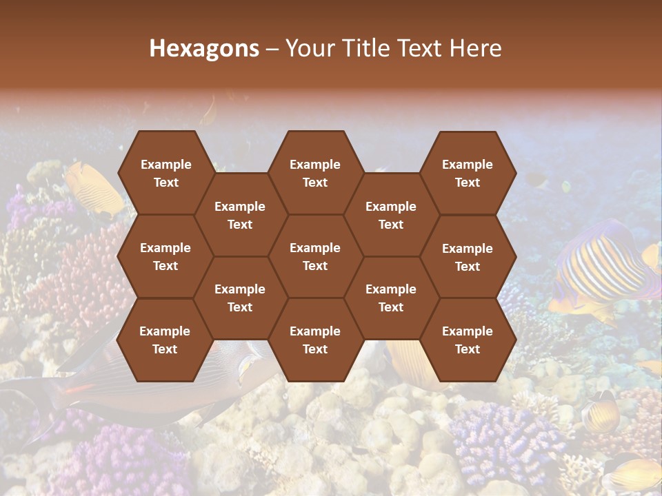 Polynesia Maldives Coral PowerPoint Template