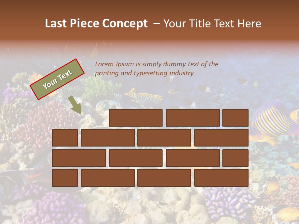 Polynesia Maldives Coral PowerPoint Template