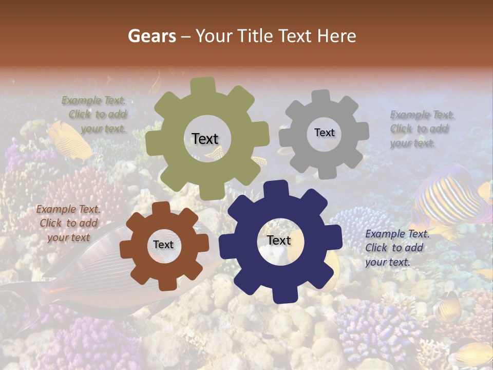 Polynesia Maldives Coral PowerPoint Template