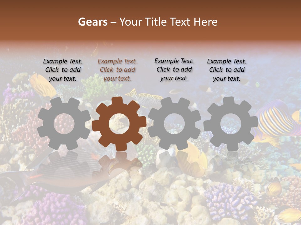 Polynesia Maldives Coral PowerPoint Template