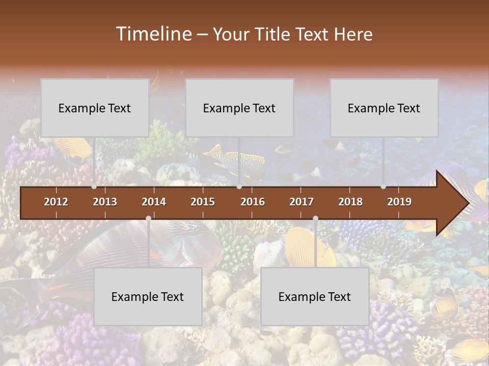 Polynesia Maldives Coral PowerPoint Template