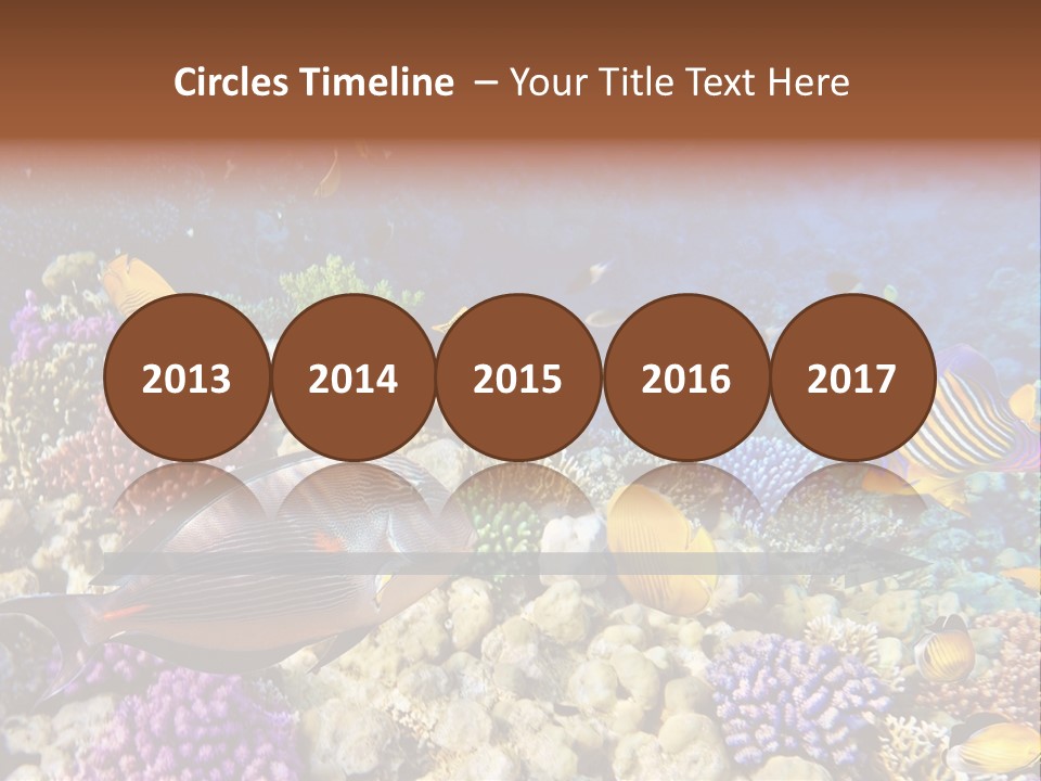 Polynesia Maldives Coral PowerPoint Template