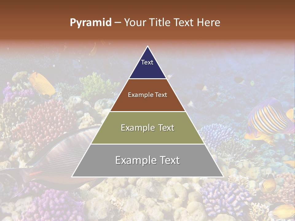 Polynesia Maldives Coral PowerPoint Template