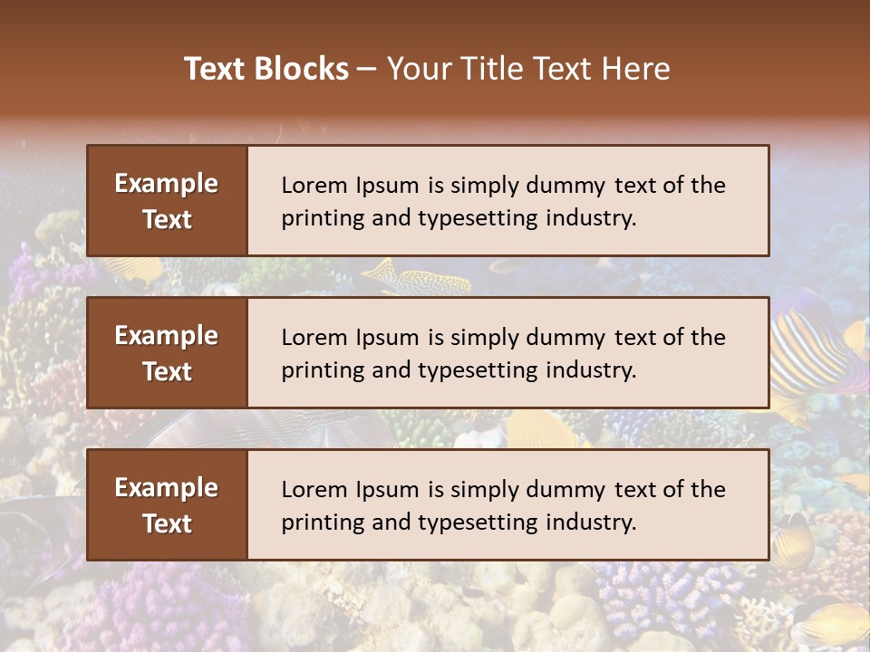 Polynesia Maldives Coral PowerPoint Template
