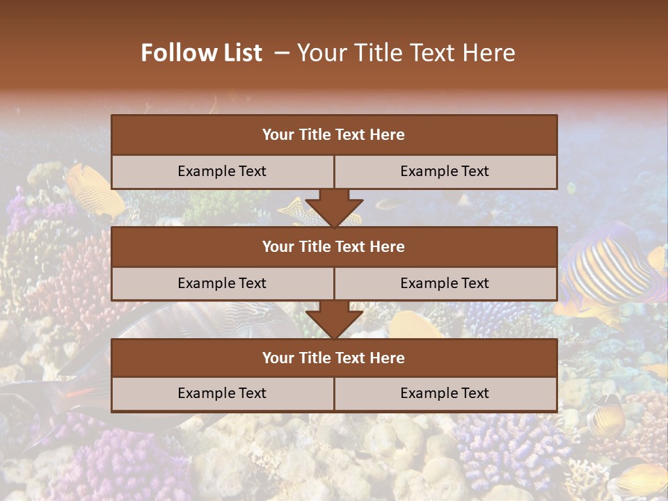 Polynesia Maldives Coral PowerPoint Template