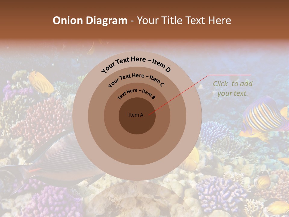 Polynesia Maldives Coral PowerPoint Template