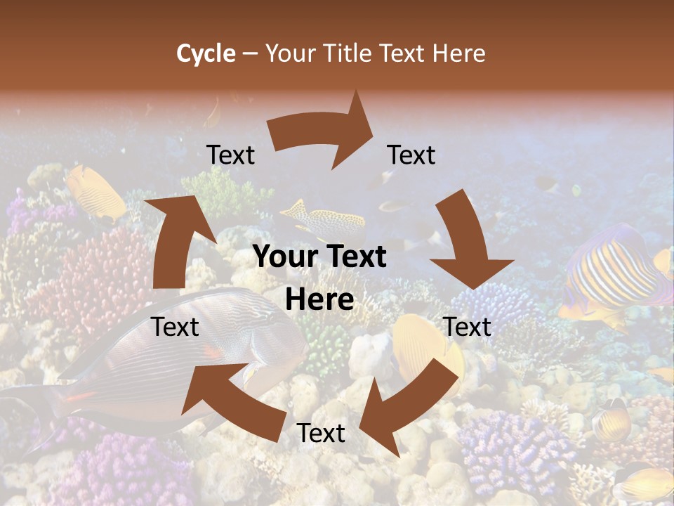 Polynesia Maldives Coral PowerPoint Template