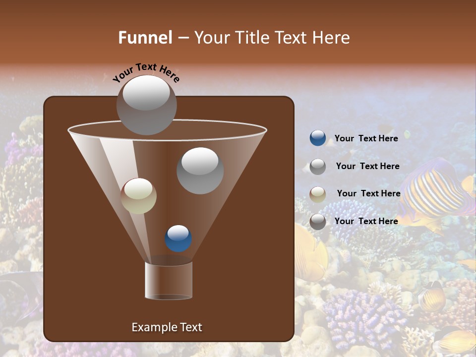 Polynesia Maldives Coral PowerPoint Template