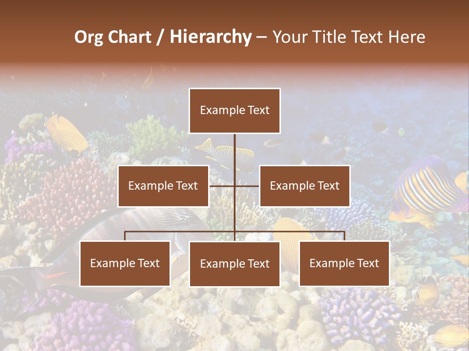 Polynesia Maldives Coral PowerPoint Template