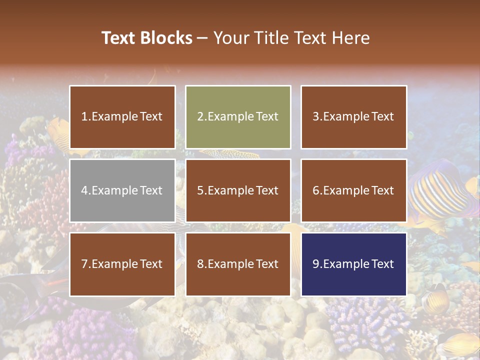 Polynesia Maldives Coral PowerPoint Template