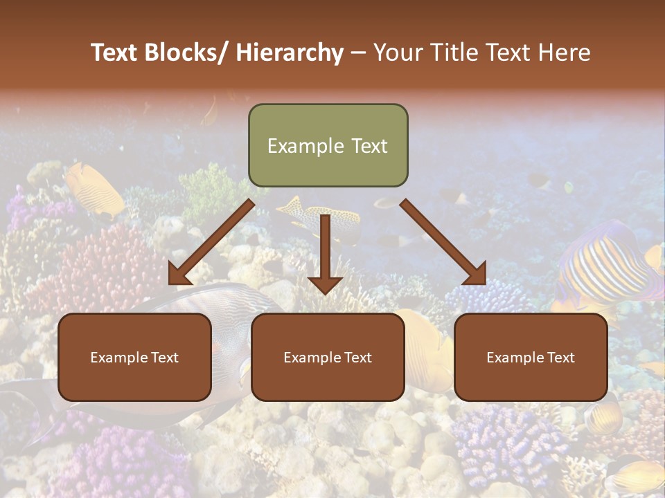 Polynesia Maldives Coral PowerPoint Template