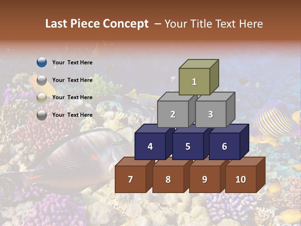 Polynesia Maldives Coral PowerPoint Template