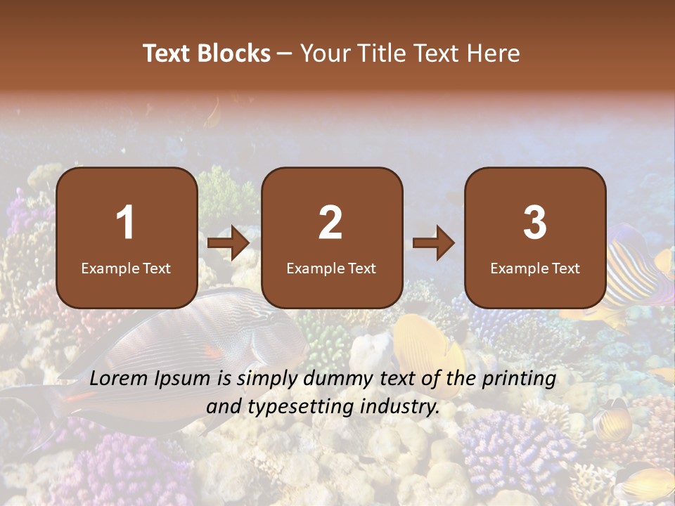 Polynesia Maldives Coral PowerPoint Template