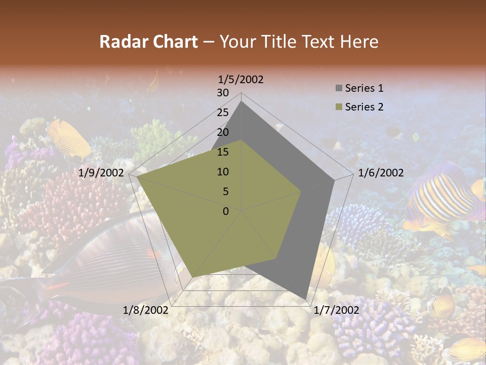 Polynesia Maldives Coral PowerPoint Template