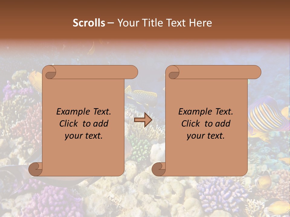 Polynesia Maldives Coral PowerPoint Template