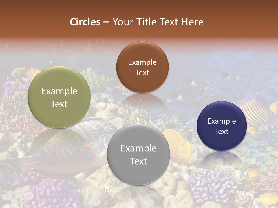 Polynesia Maldives Coral PowerPoint Template