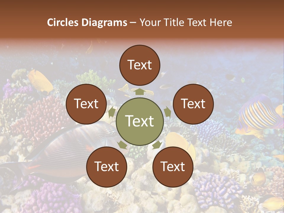 Polynesia Maldives Coral PowerPoint Template