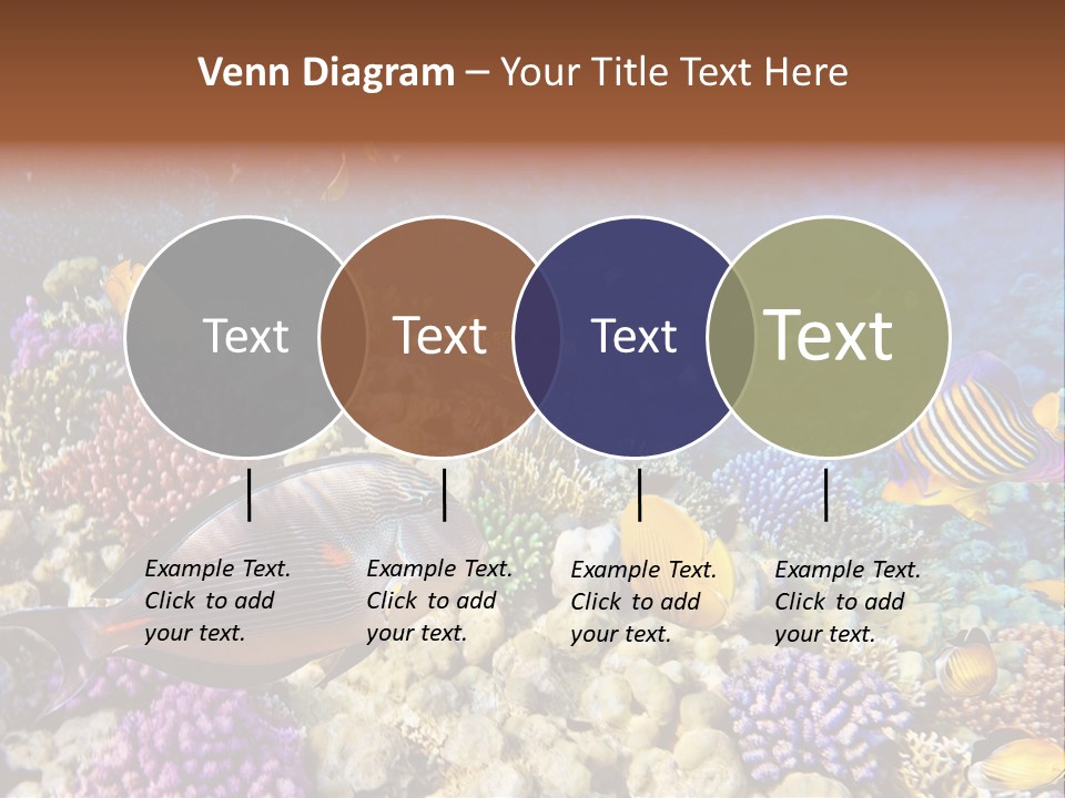 Polynesia Maldives Coral PowerPoint Template