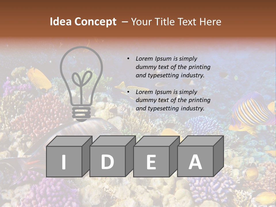 Polynesia Maldives Coral PowerPoint Template