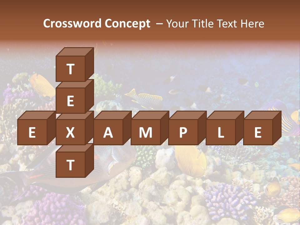 Polynesia Maldives Coral PowerPoint Template