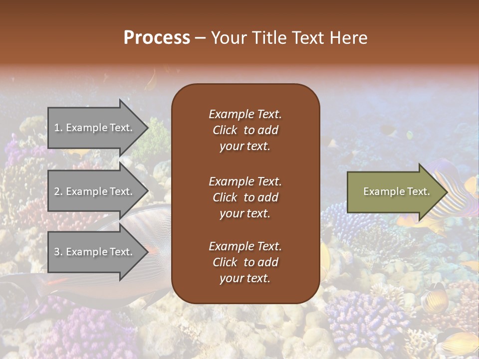 Polynesia Maldives Coral PowerPoint Template