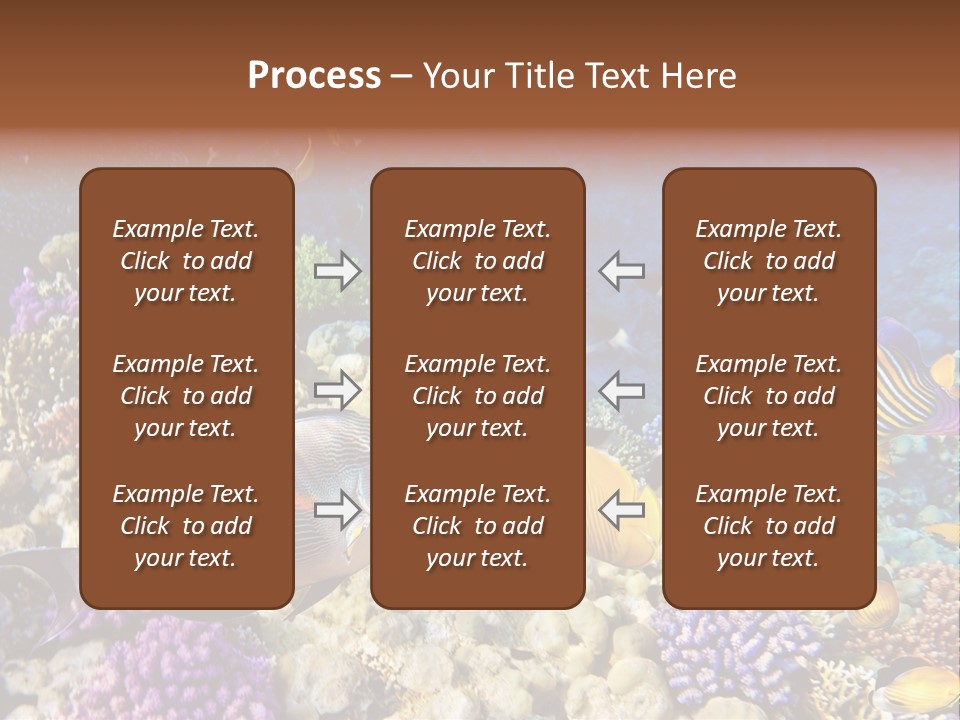 Polynesia Maldives Coral PowerPoint Template