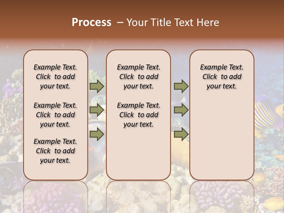 Polynesia Maldives Coral PowerPoint Template