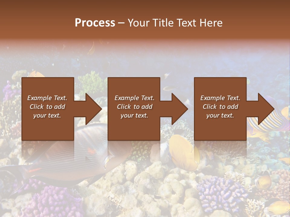 Polynesia Maldives Coral PowerPoint Template