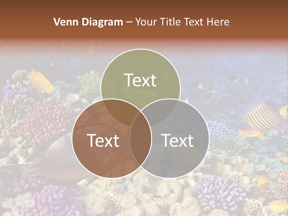 Polynesia Maldives Coral PowerPoint Template