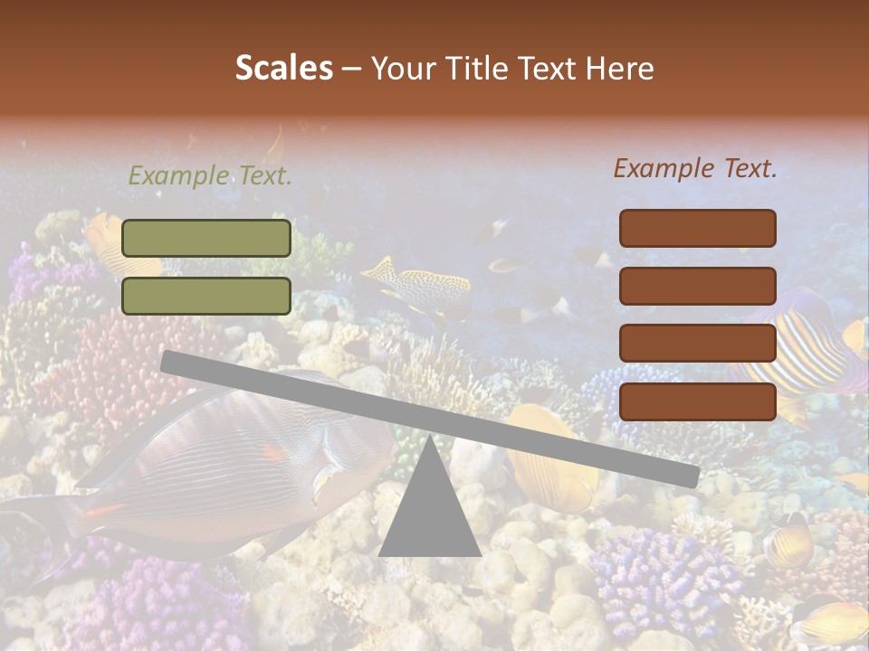 Polynesia Maldives Coral PowerPoint Template