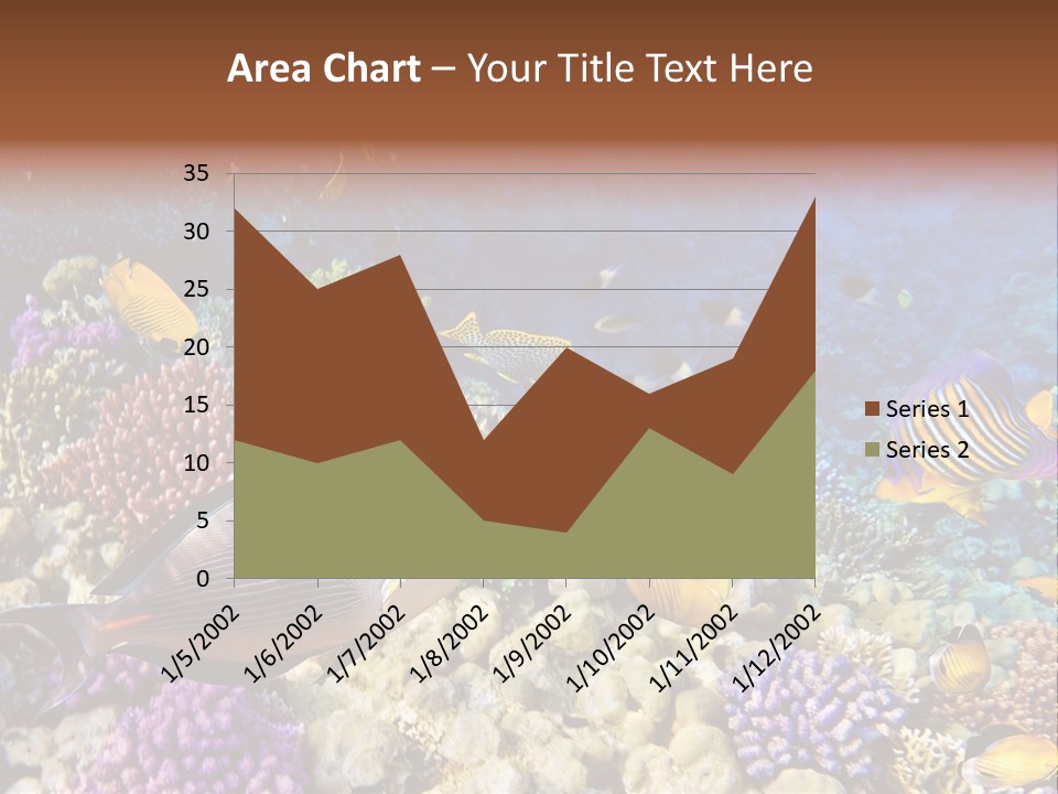 Polynesia Maldives Coral PowerPoint Template