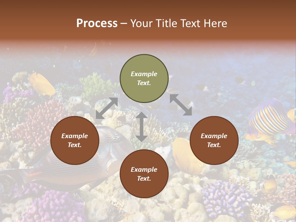 Polynesia Maldives Coral PowerPoint Template