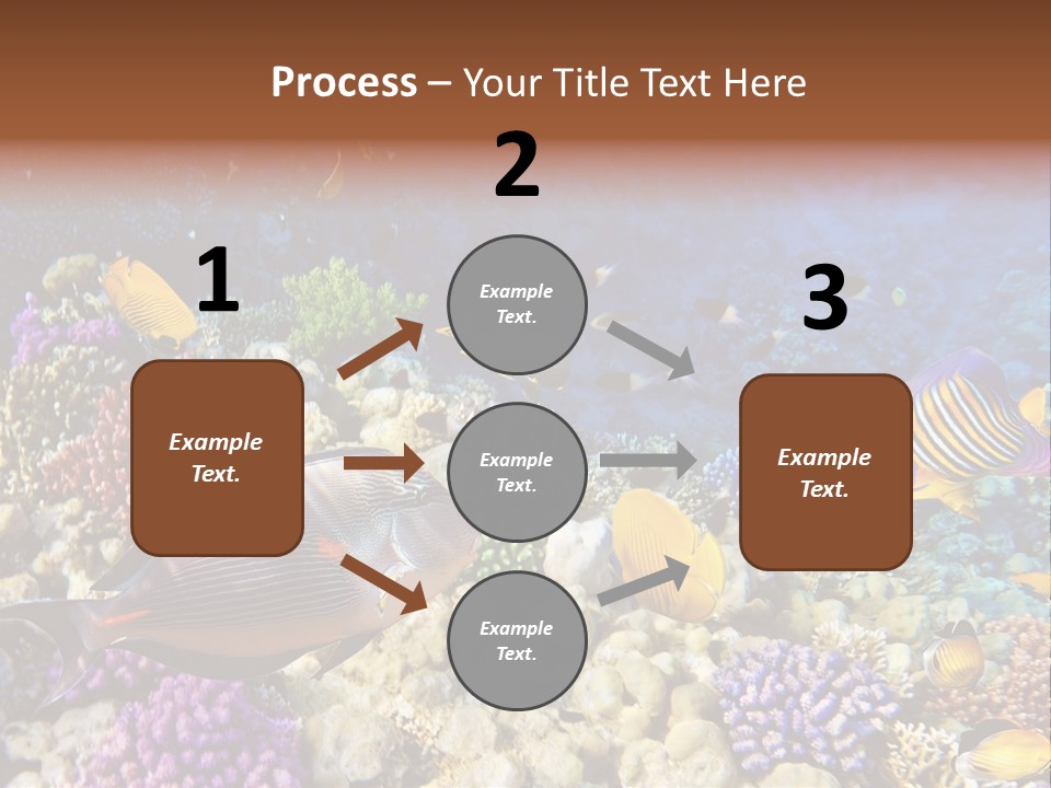 Polynesia Maldives Coral PowerPoint Template
