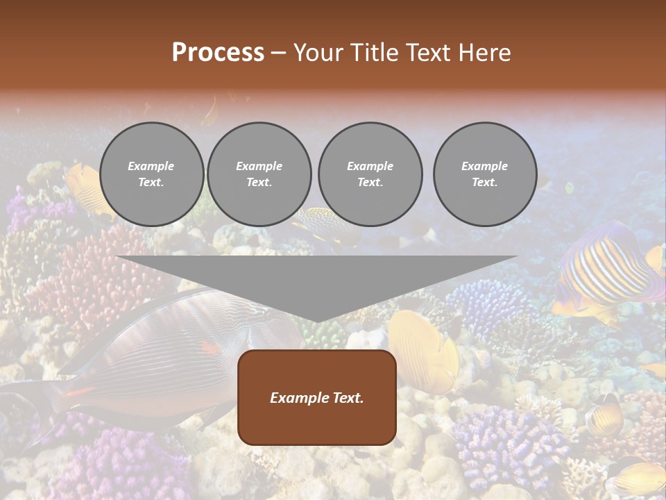 Polynesia Maldives Coral PowerPoint Template