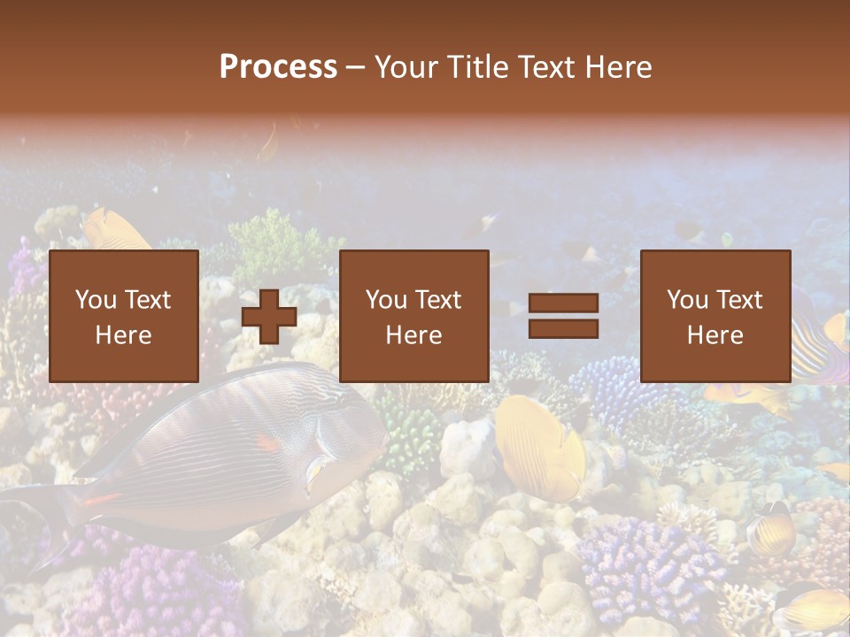 Polynesia Maldives Coral PowerPoint Template