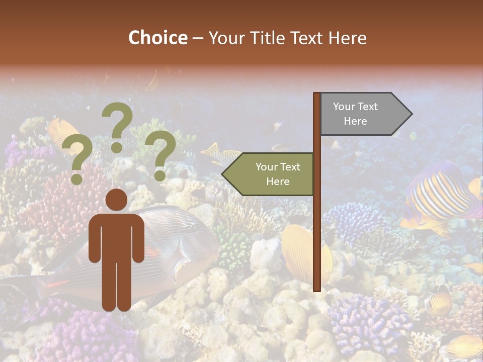 Polynesia Maldives Coral PowerPoint Template