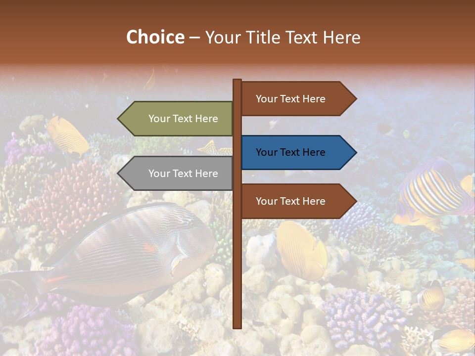 Polynesia Maldives Coral PowerPoint Template