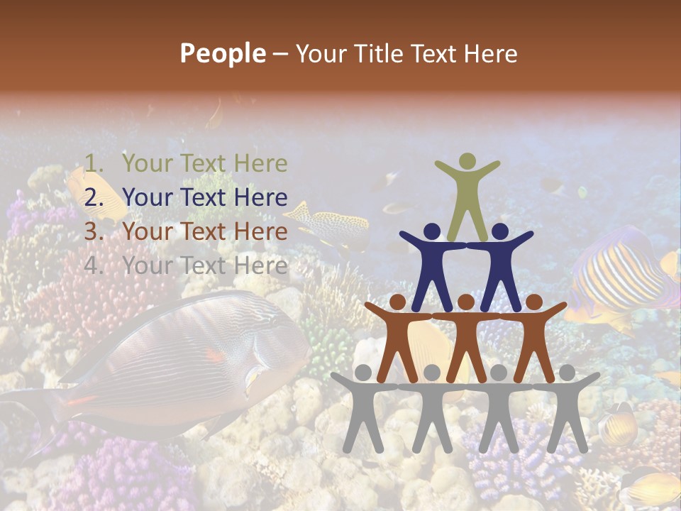 Polynesia Maldives Coral PowerPoint Template