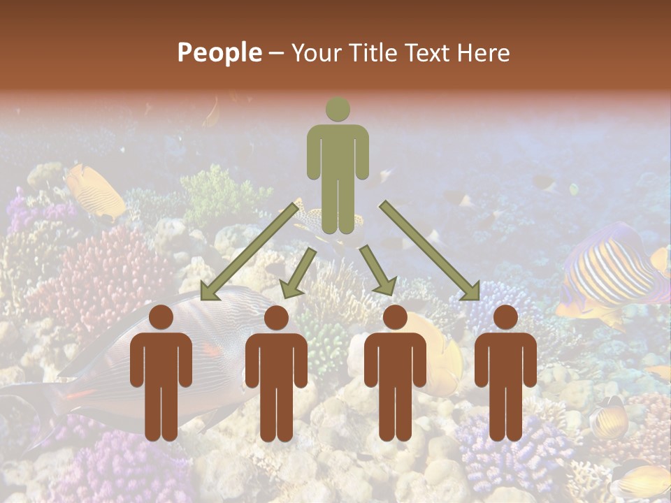 Polynesia Maldives Coral PowerPoint Template