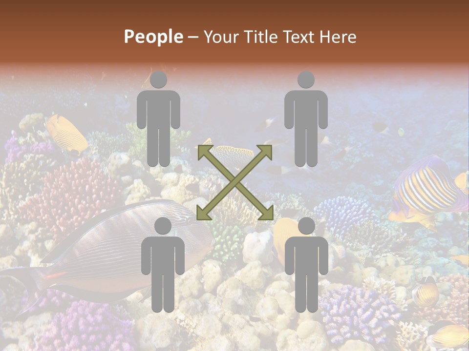 Polynesia Maldives Coral PowerPoint Template