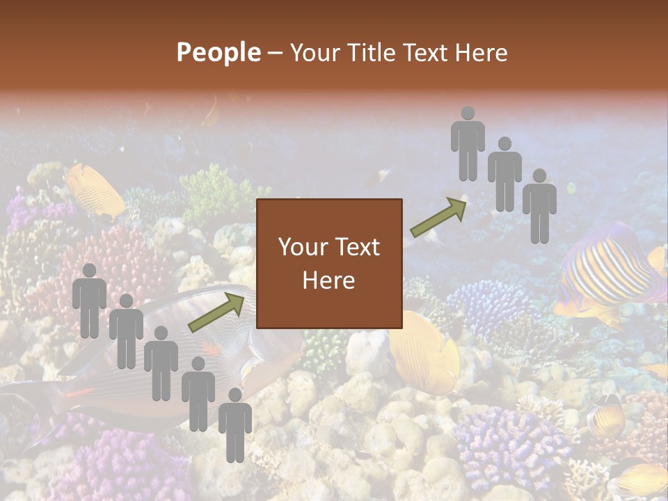 Polynesia Maldives Coral PowerPoint Template