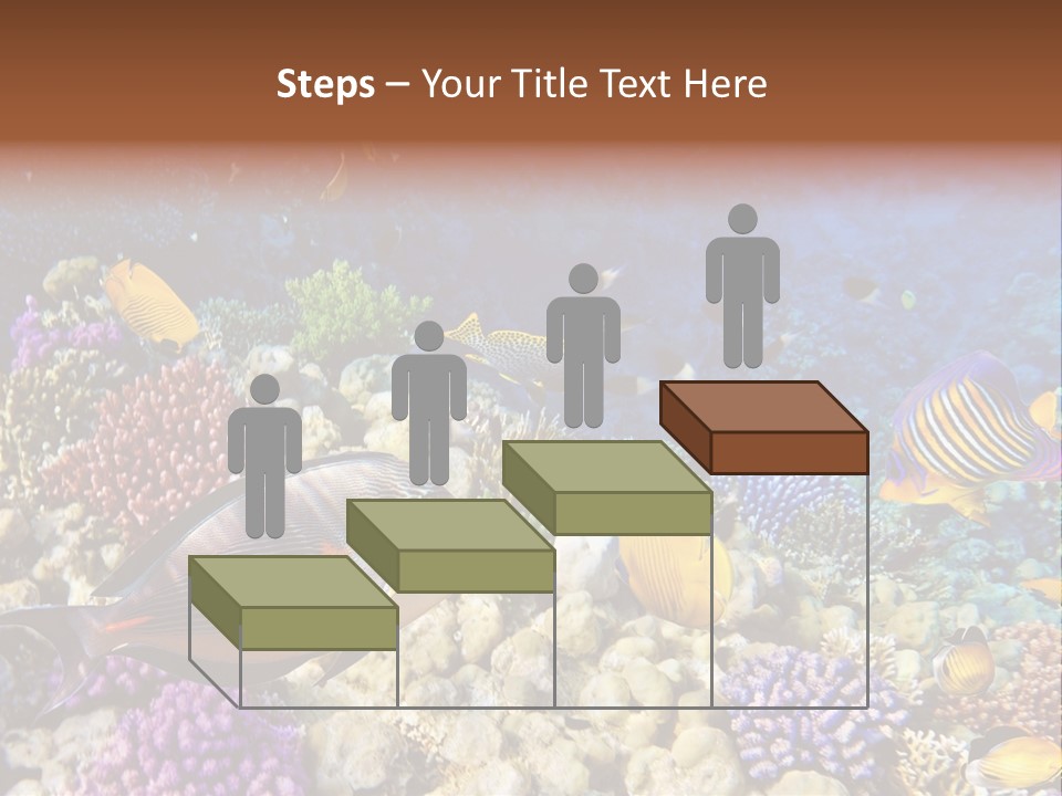 Polynesia Maldives Coral PowerPoint Template