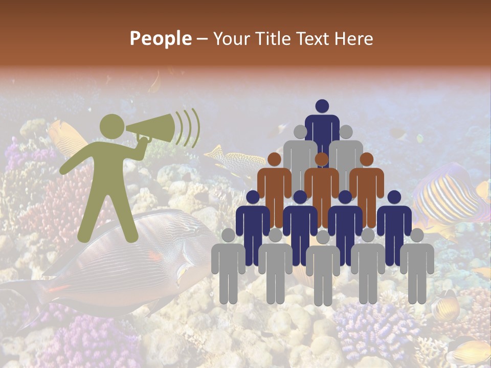 Polynesia Maldives Coral PowerPoint Template