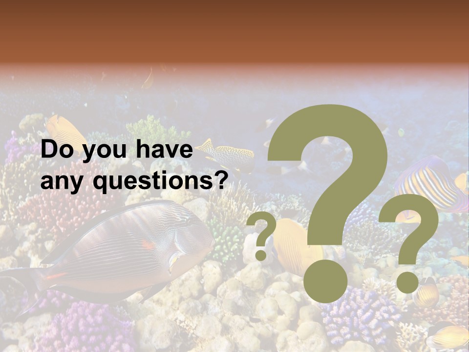 Polynesia Maldives Coral PowerPoint Template