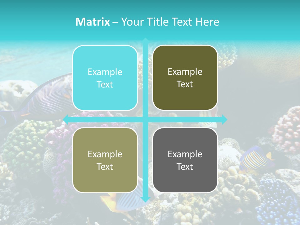 Aquarium Underwater Sea PowerPoint Template