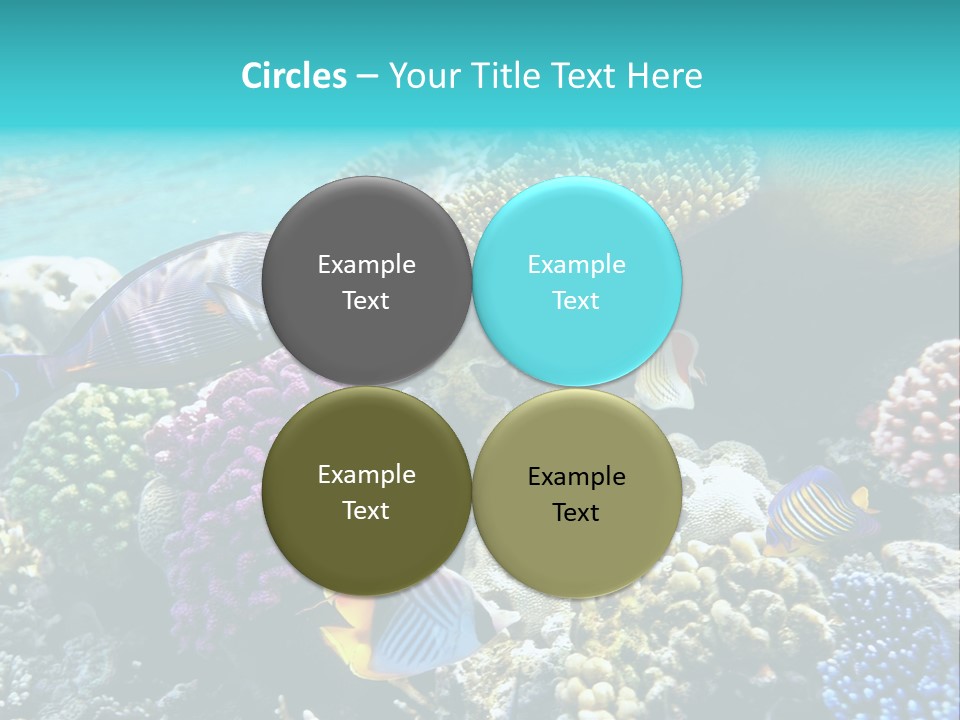 Aquarium Underwater Sea PowerPoint Template